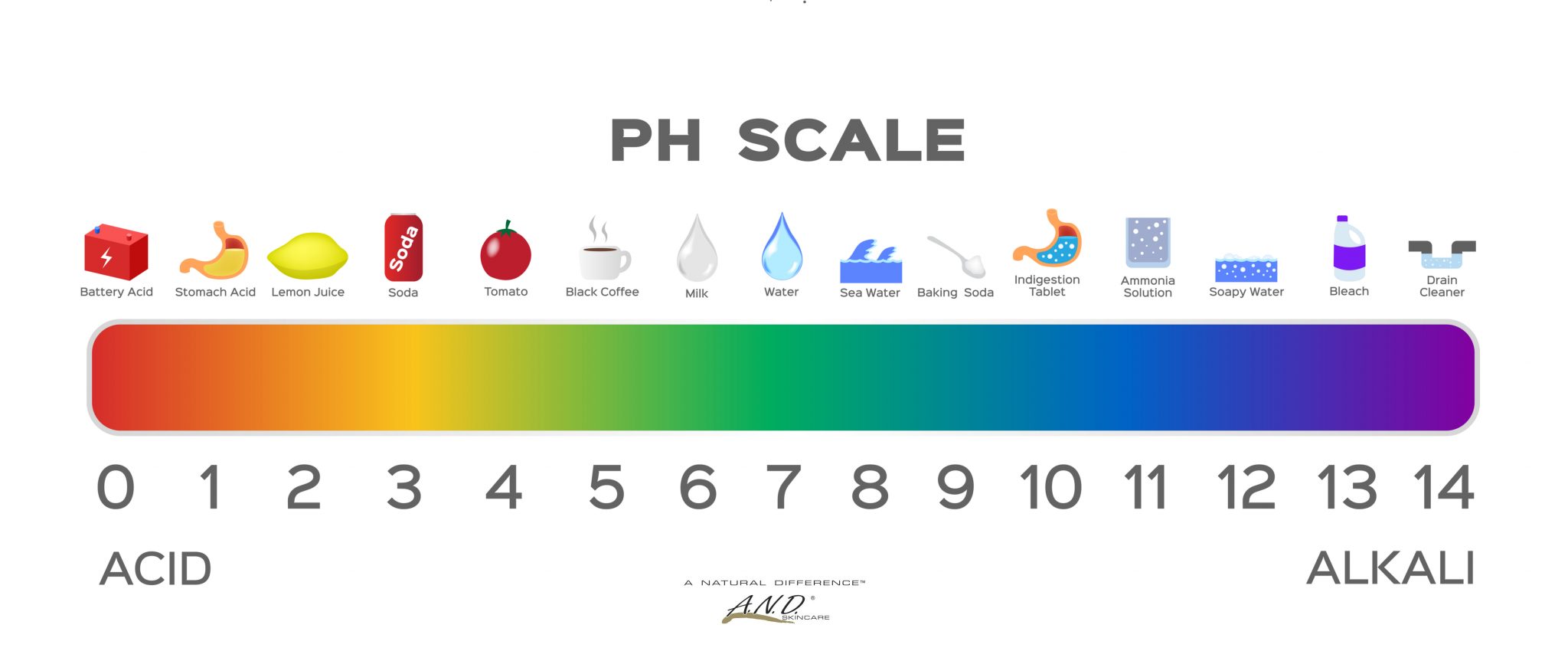 All About Acids: Part 1